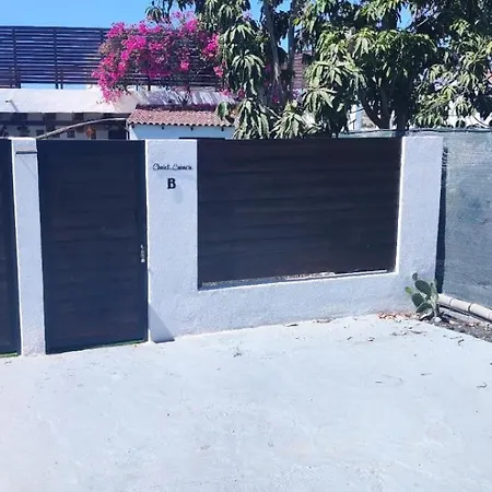 Canario Panoramico *